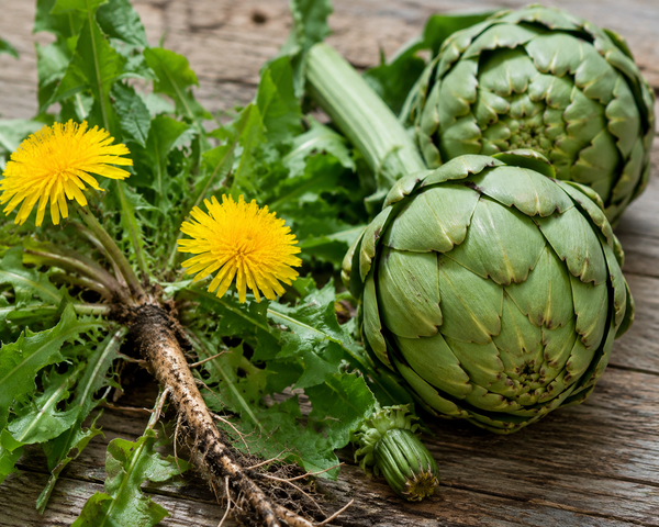 Dandelion + Artichoke